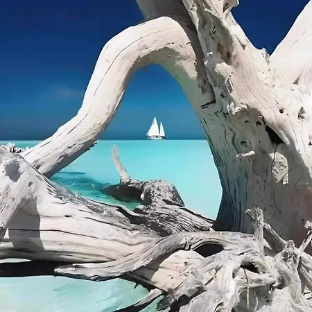 Coquet T2 Pres Des Plages