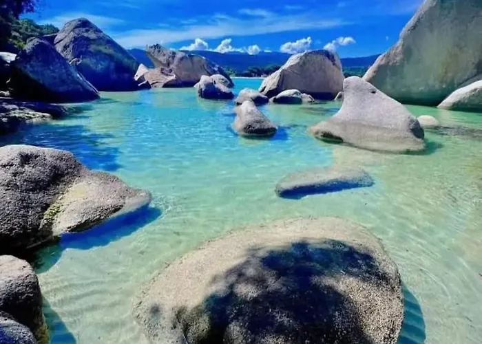 Coquet T2 Pres Des Plages Propriano (Corsica)